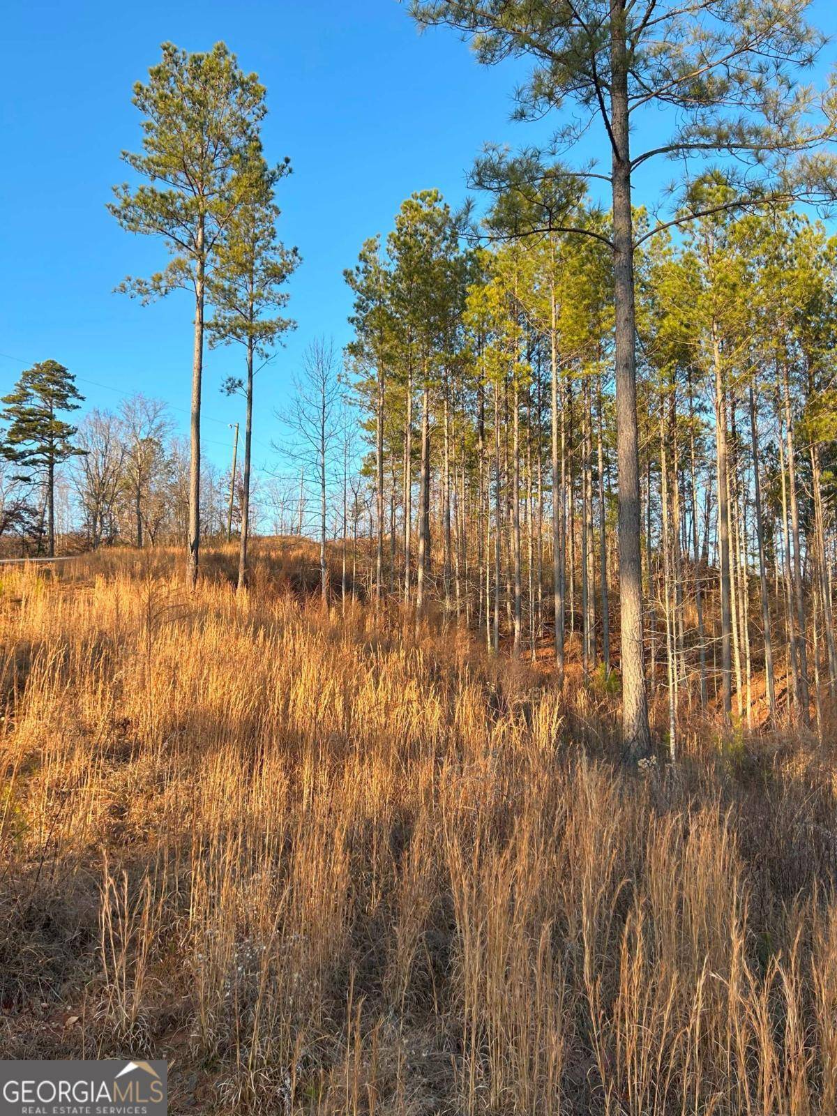 Talking Rock, GA 30175,LT 80 Seven Mile Creek