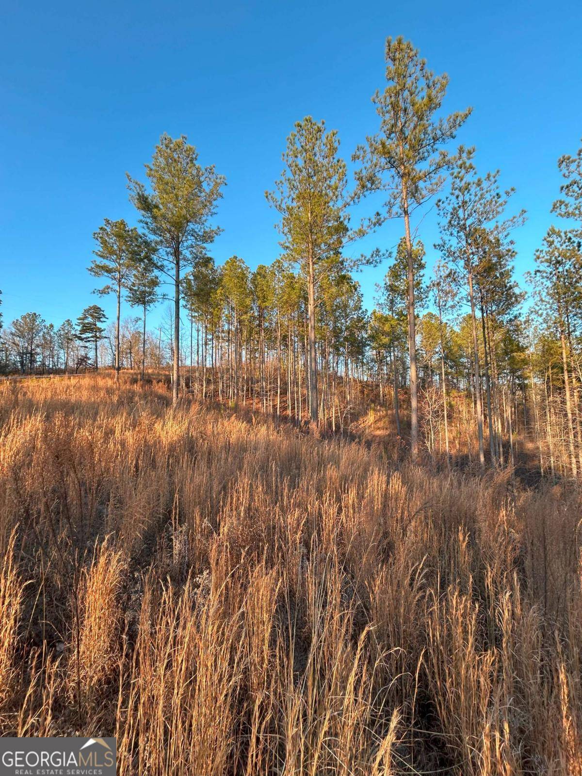 Talking Rock, GA 30175,LT 80 Seven Mile Creek