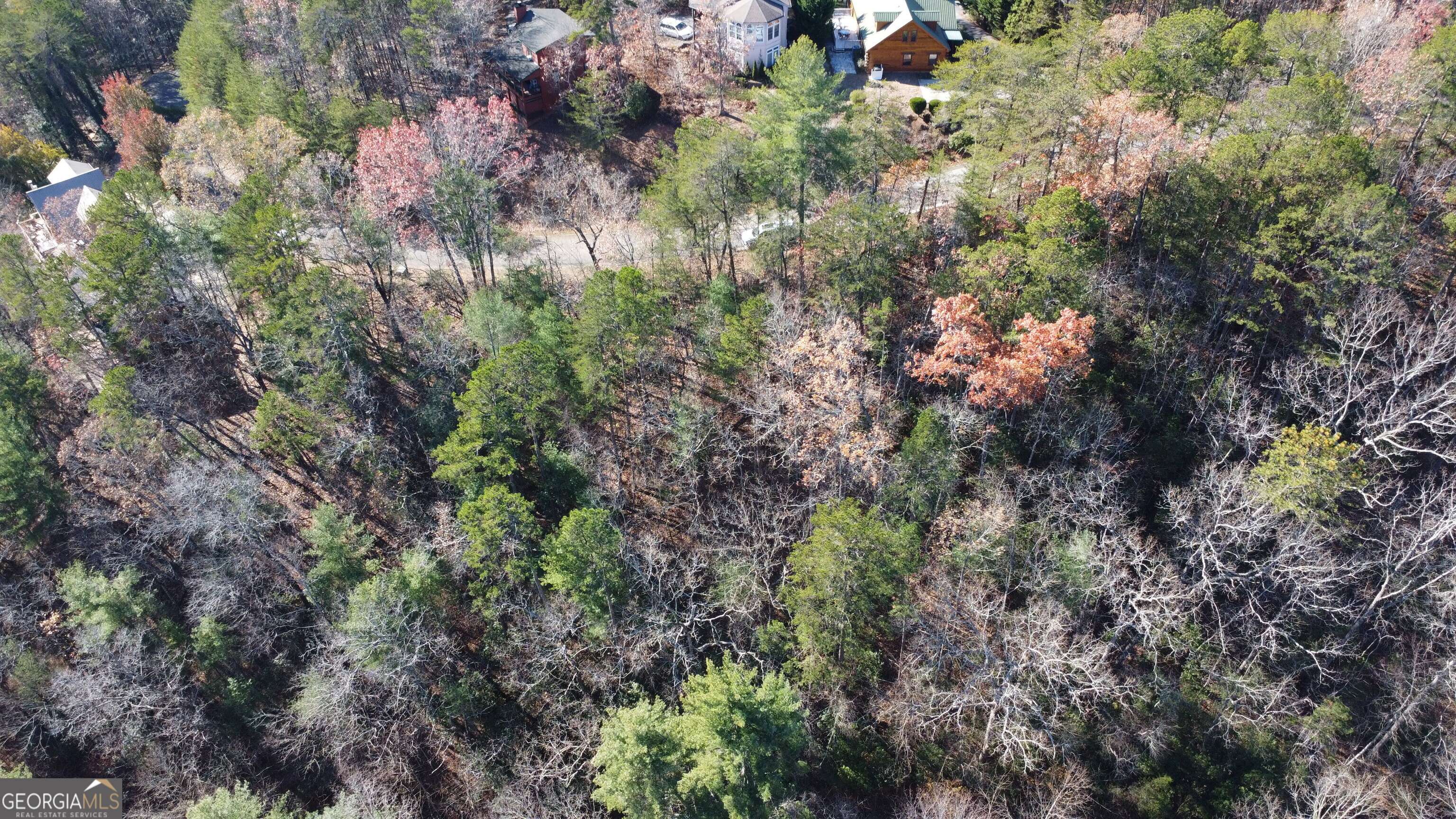 Helen, GA 30545,LOT 141 Rosen Strasse