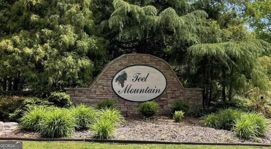 Cleveland, GA 30528,LOT 55 Teel Mtn