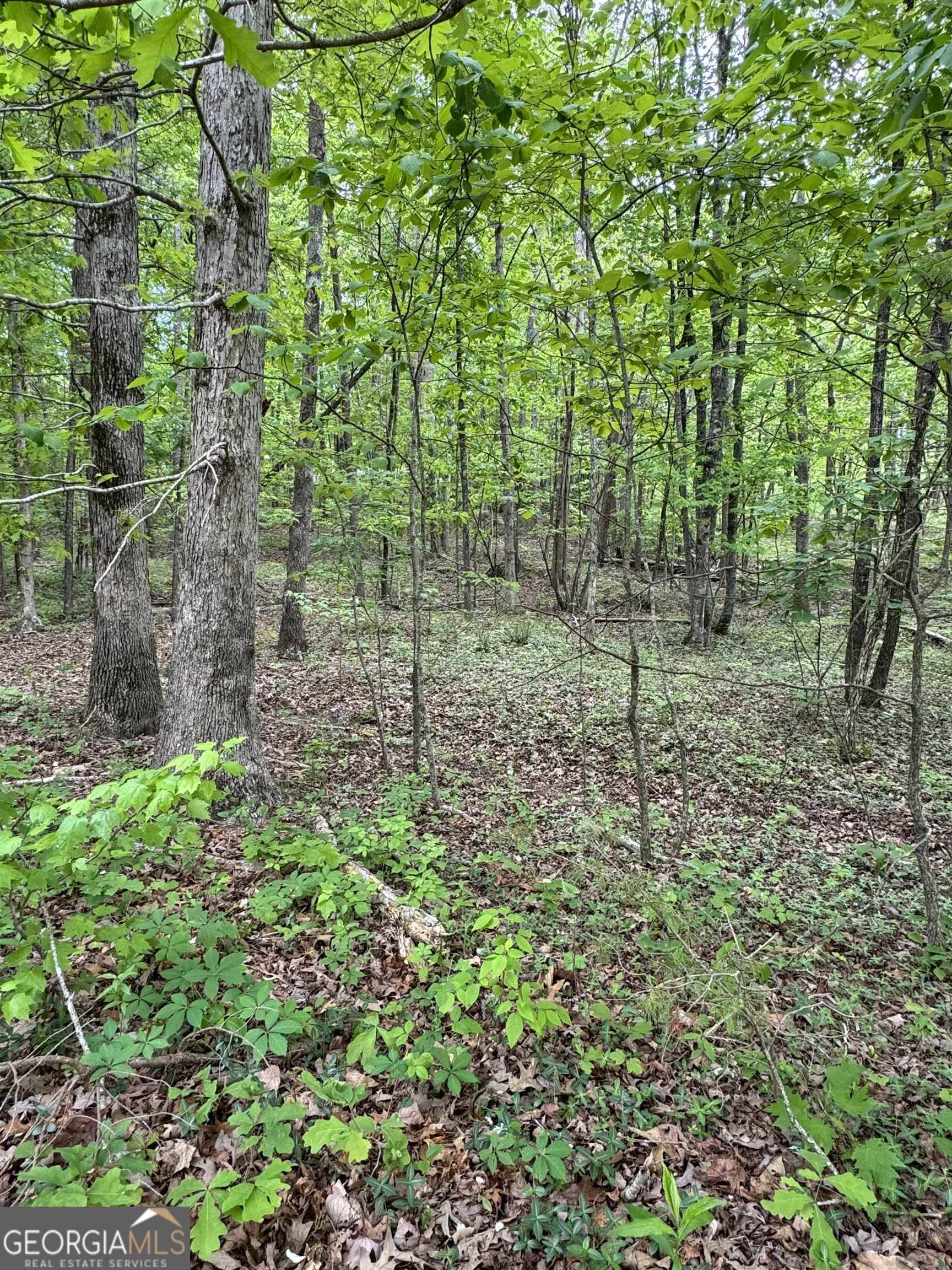 Cleveland, GA 30528,LOT 13 Teel Mountain