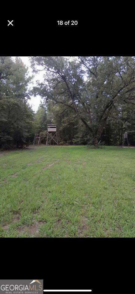 Toomsboro, GA 31090,24165 Ga Highway 57
