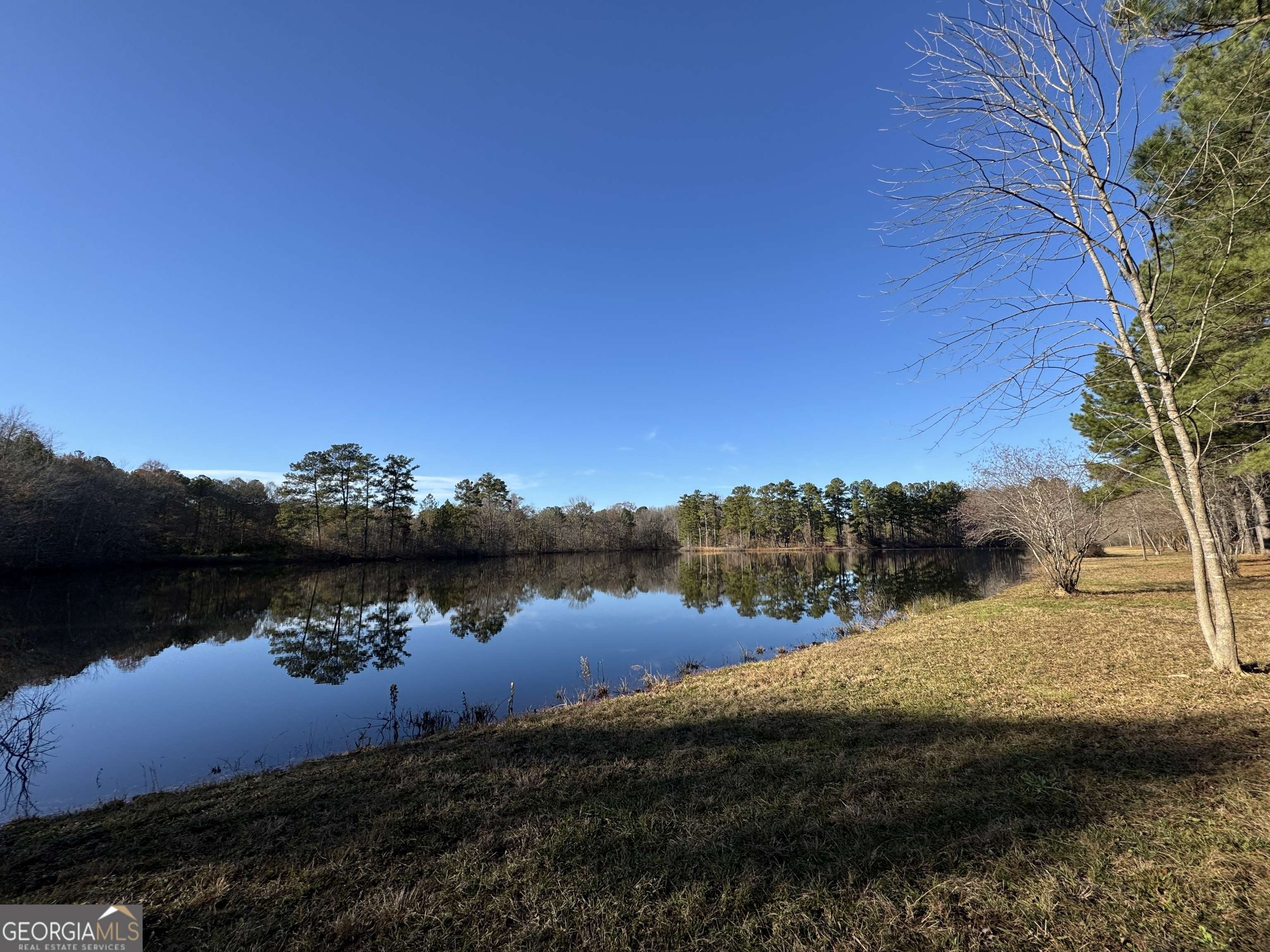 Concord, GA 30206,145.79 AC Pedenville