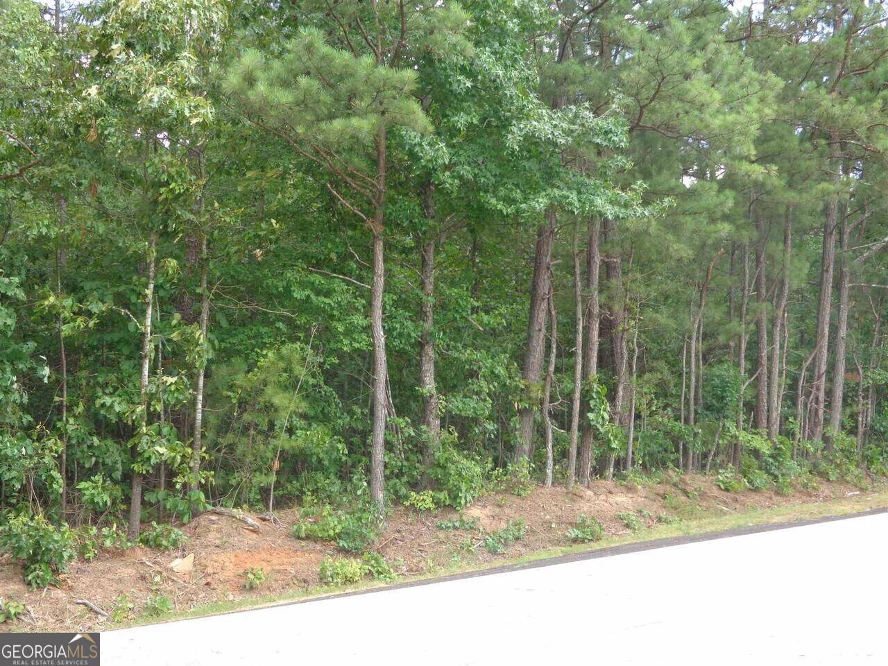 Douglasville, GA 30135,0 Pope RD