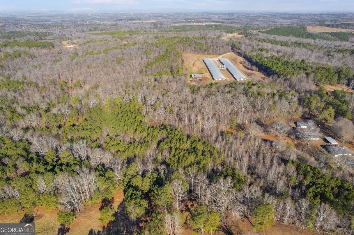 Woodland, AL 36280,1775 County Road 621