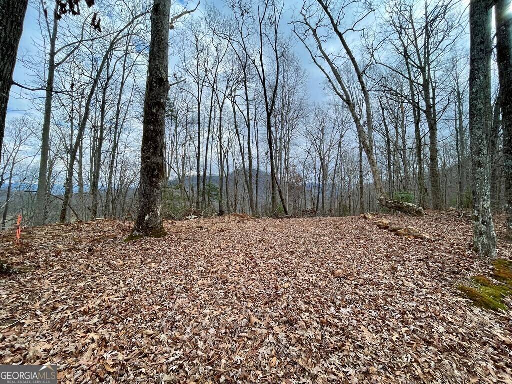 Hayesville, NC 28904,#114 Eagles View