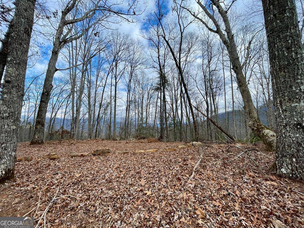 Hayesville, NC 28904,#114 Eagles View