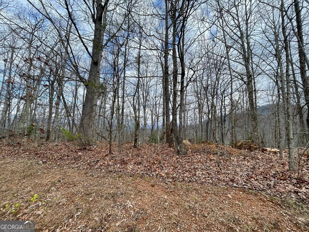 Hayesville, NC 28904,#114 Eagles View