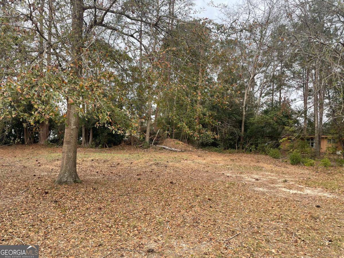 Claxton, GA 30417,LOT 56 Mclean