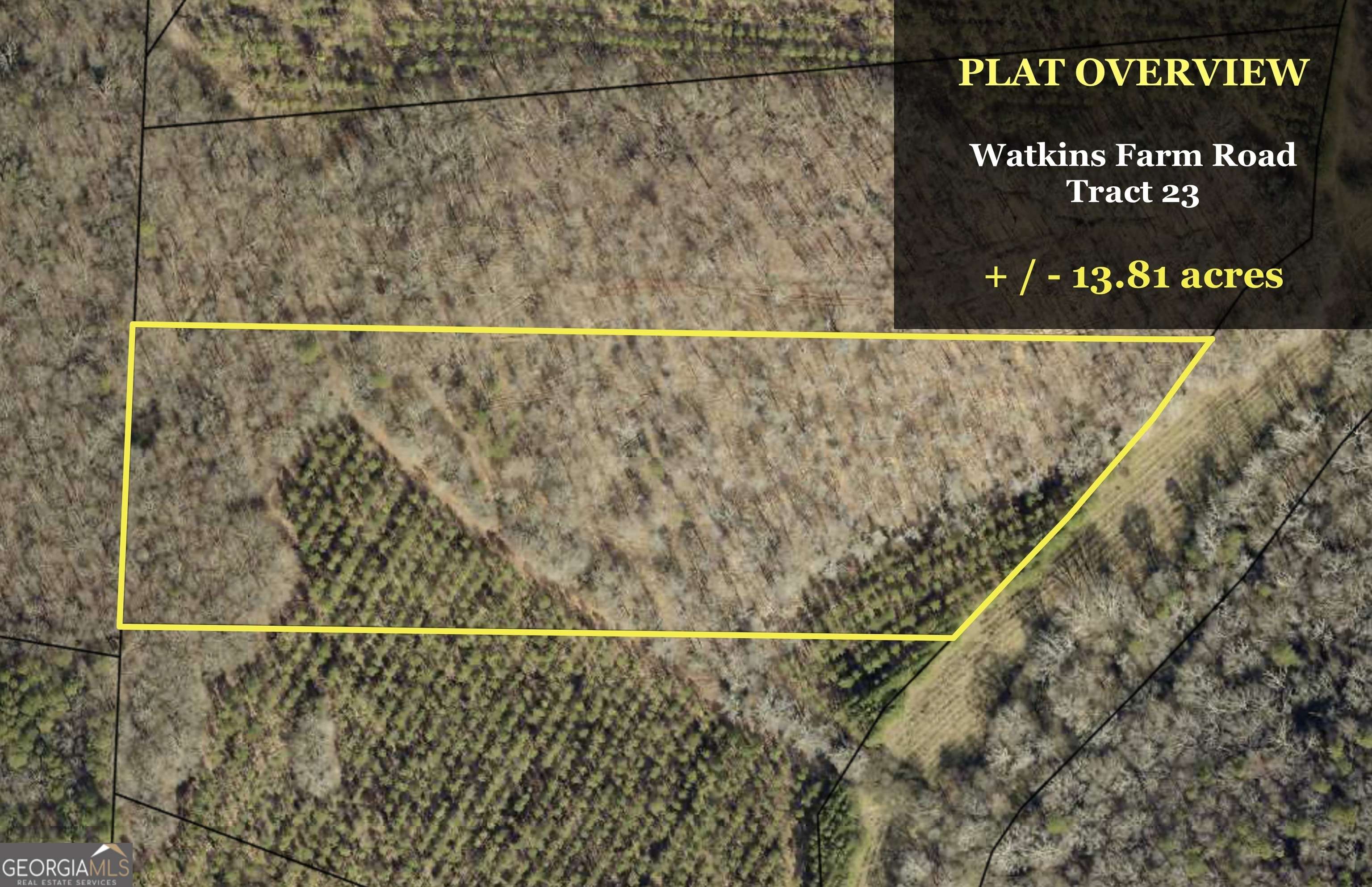 Nicholson, GA 30565,0000 Watkins TRL #TRACT 23