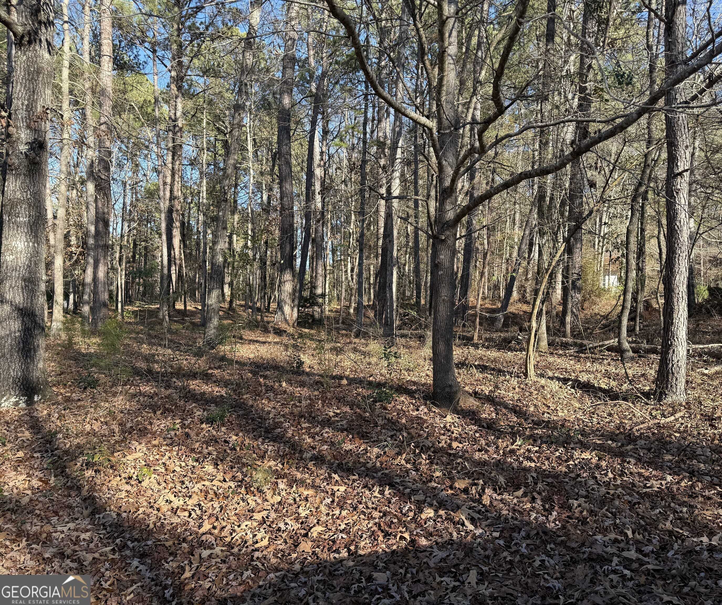Lagrange, GA 30240,103 Cameron Pointe DR
