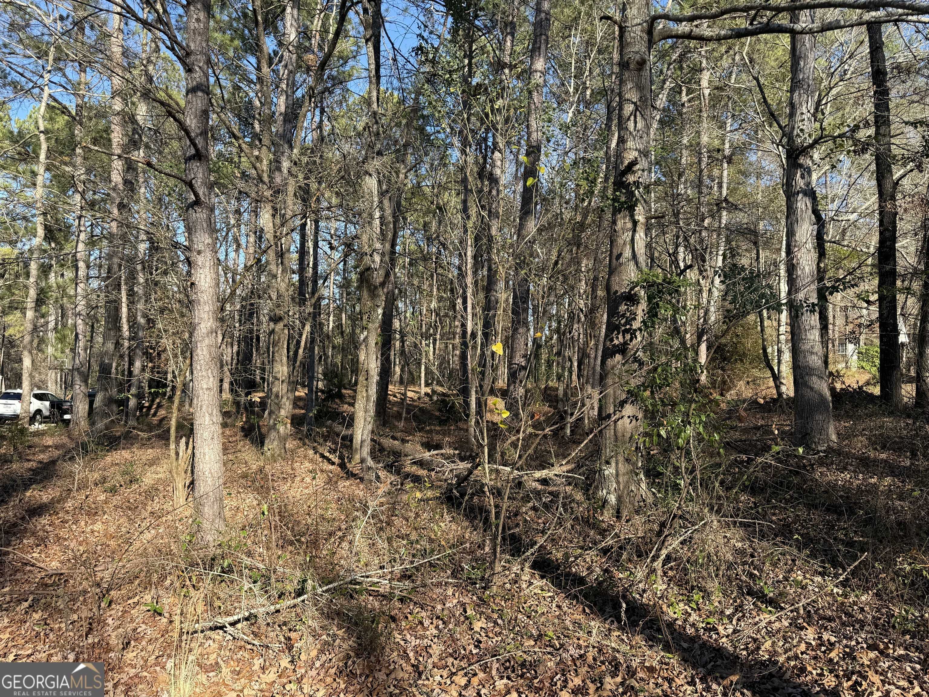 Lagrange, GA 30240,103 Cameron Pointe DR