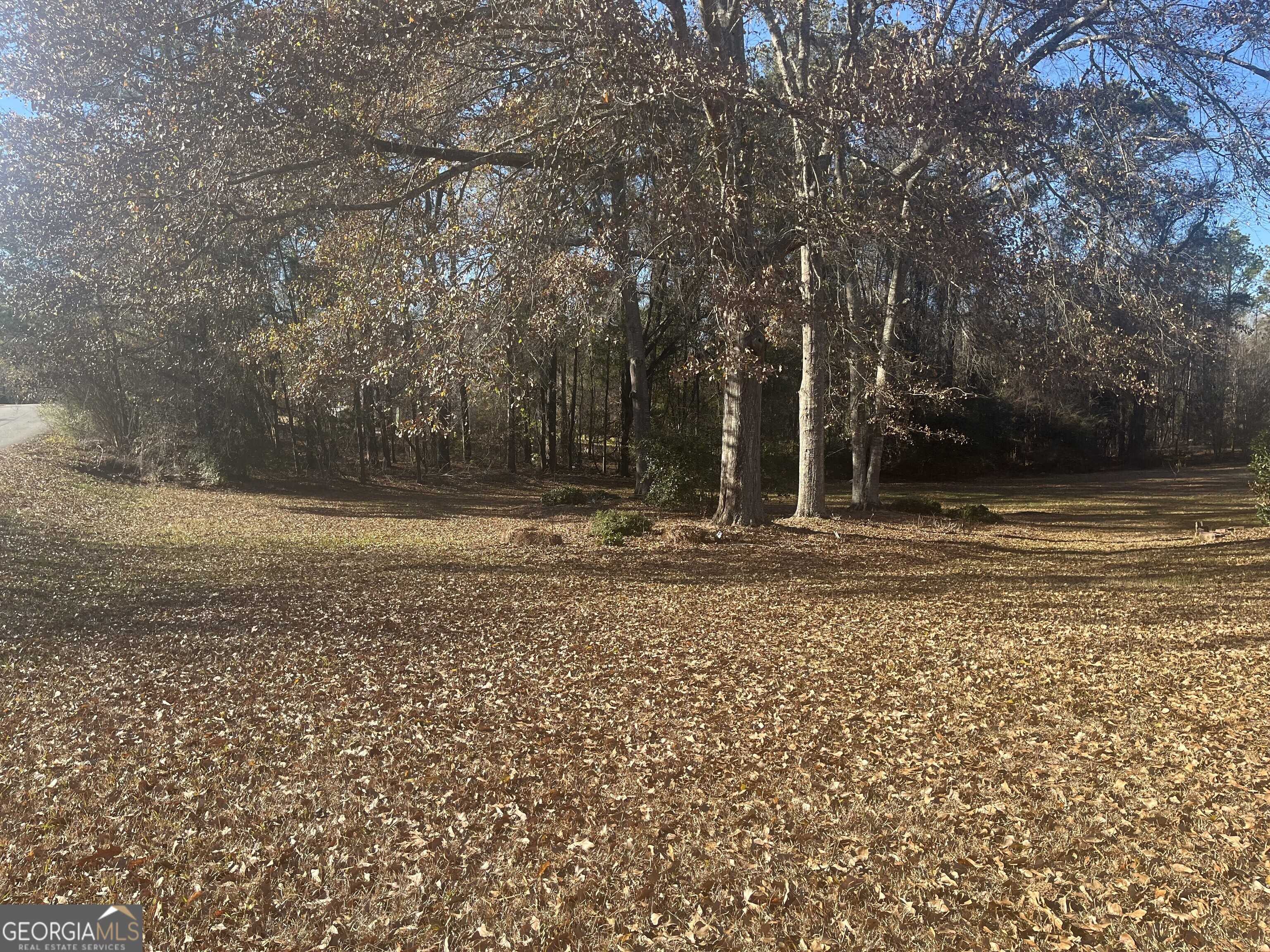 Macon, GA 31216,355 Old Oak