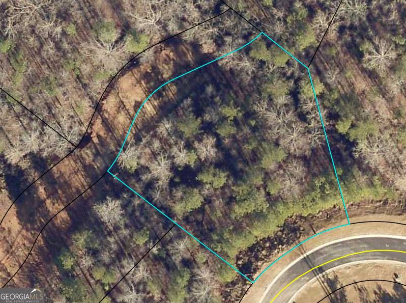 Toccoa, GA 30577,0 Switchback Run