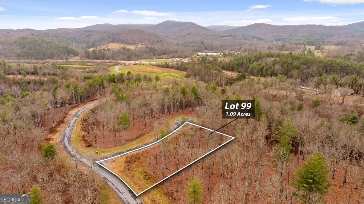 Morganton, GA 30560,LOT 99 South Wind