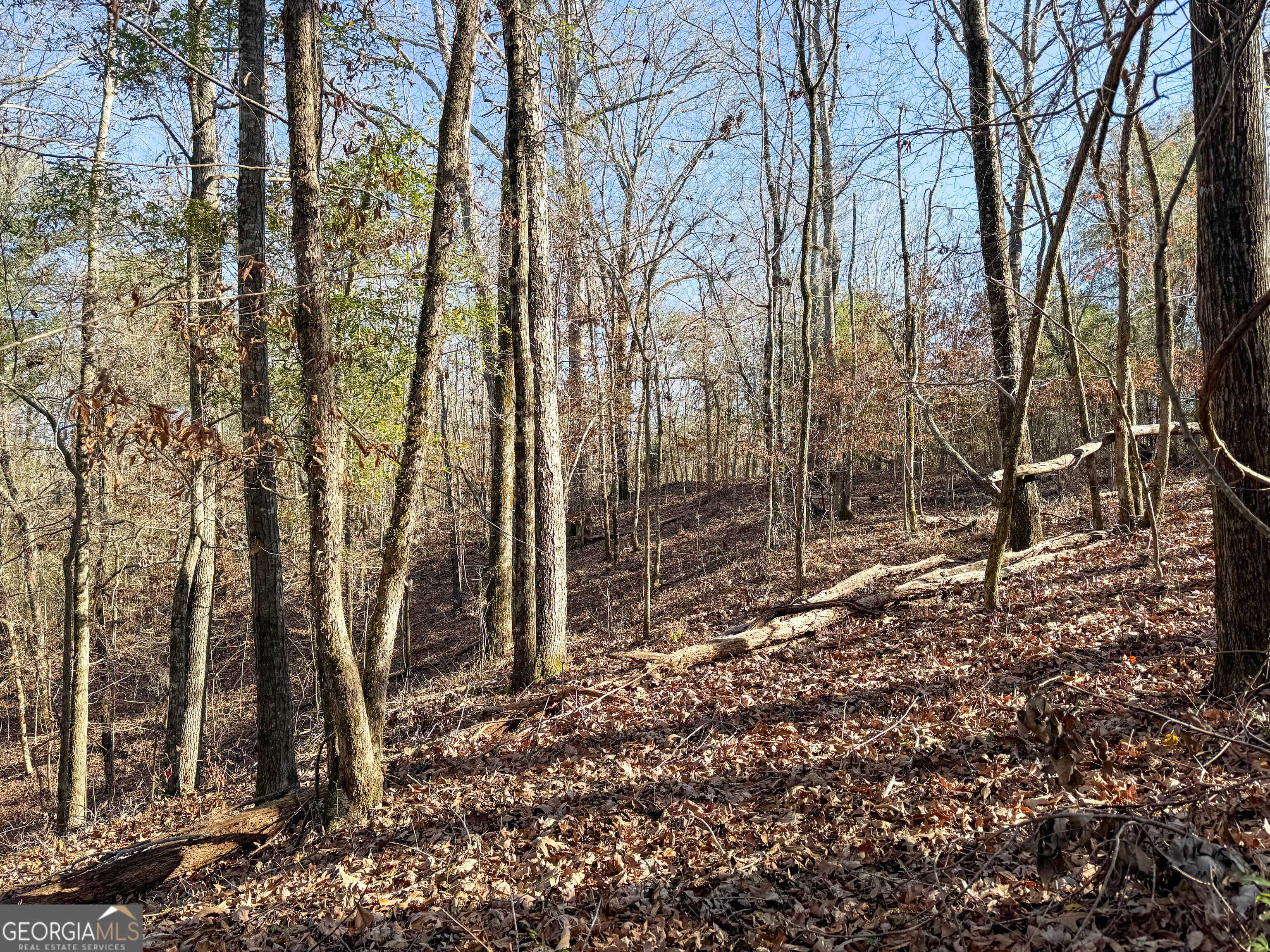 Wrightsville, GA 31096,4772 Ga Highway 57 W