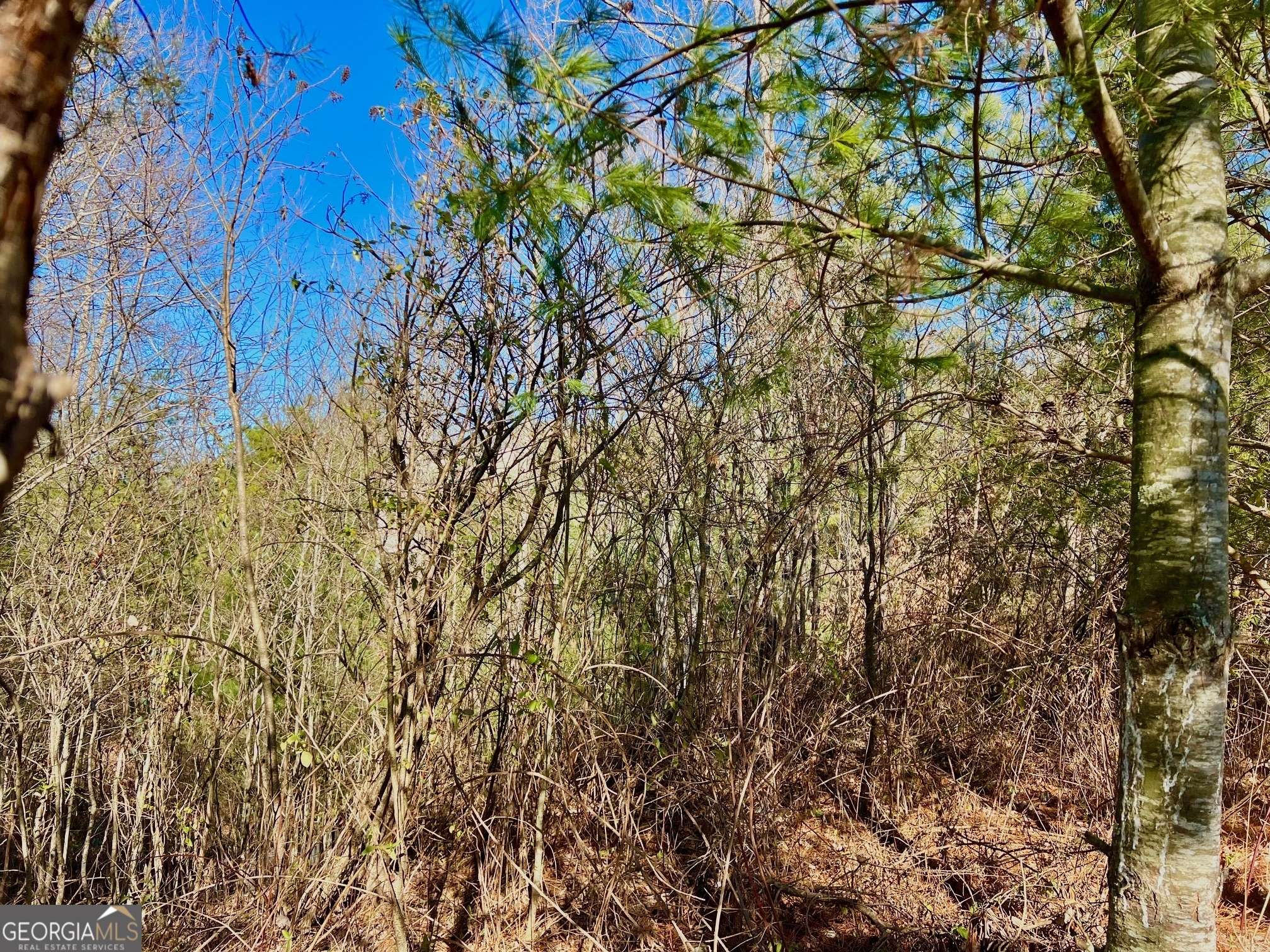 East Ellijay, GA 30540,LOT 14 Valley