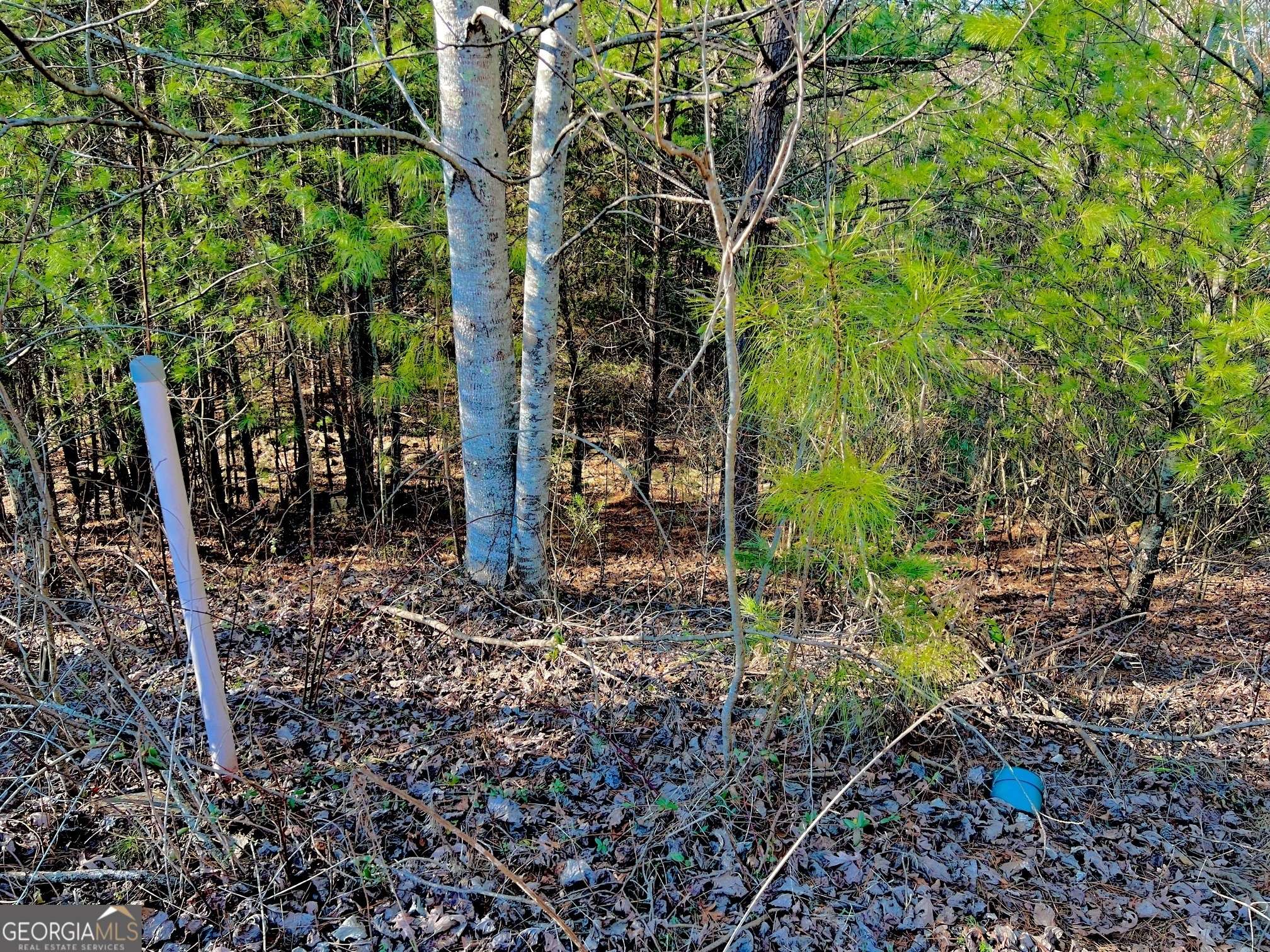 East Ellijay, GA 30540,LOT 14 Valley