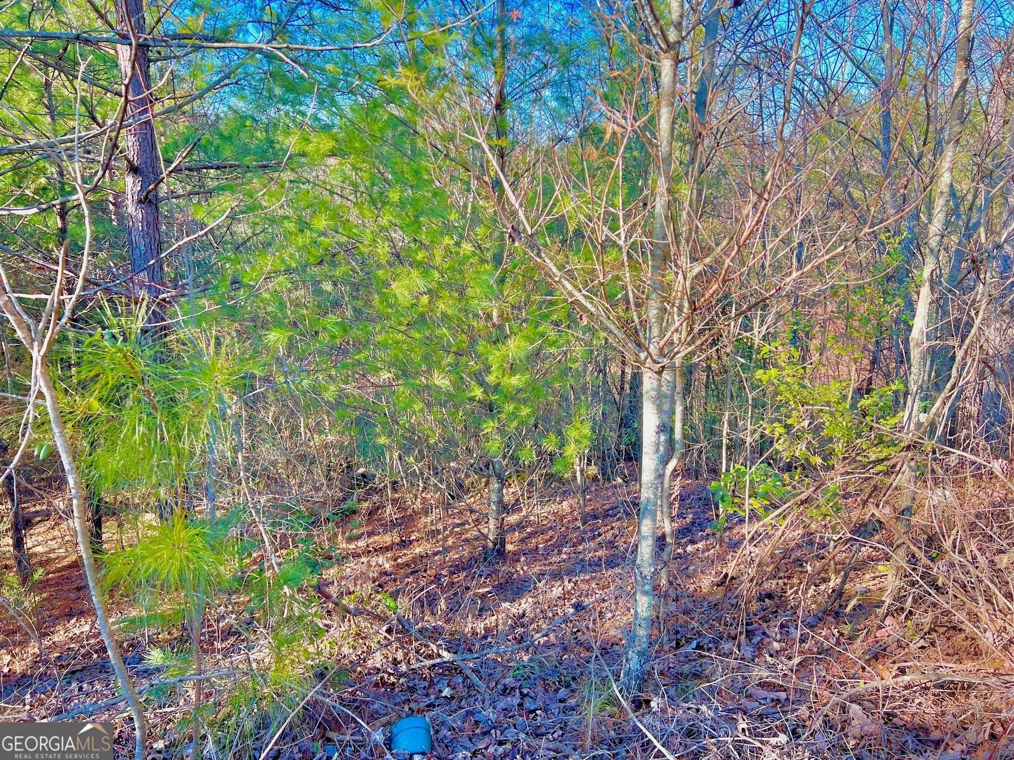 East Ellijay, GA 30540,LOT 14 Valley CT