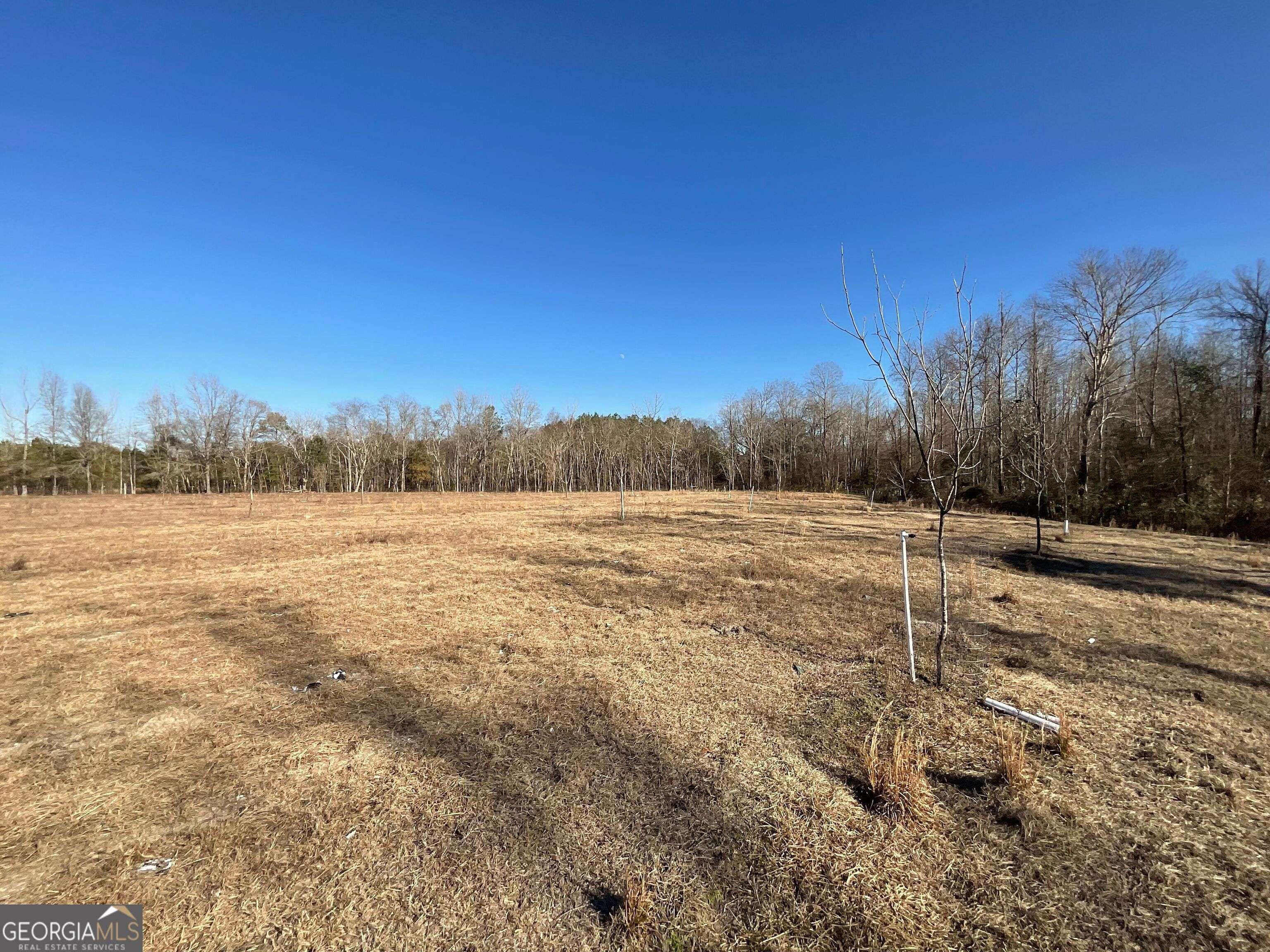 Jeffersonville, GA 31044,965 Fountain RD
