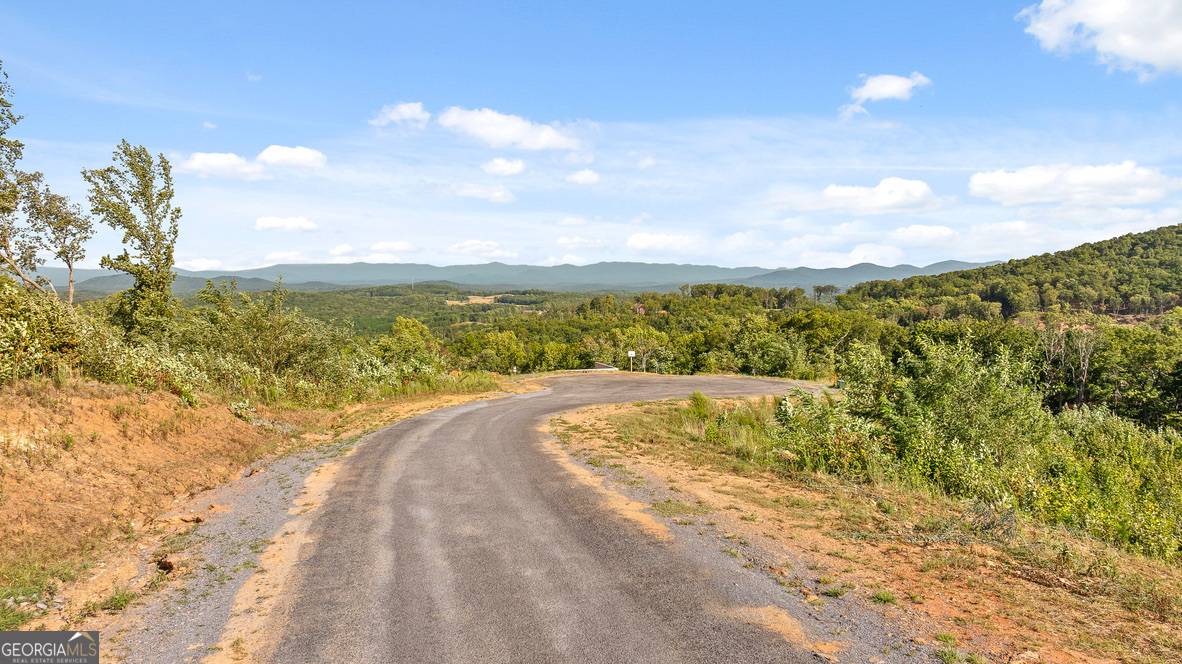 Talking Rock, GA 30175,LOT 169 Gray Bluff TRL