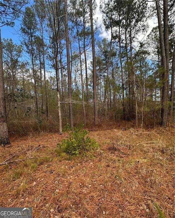 Brooklet, GA 30415,113 Tall Timbers