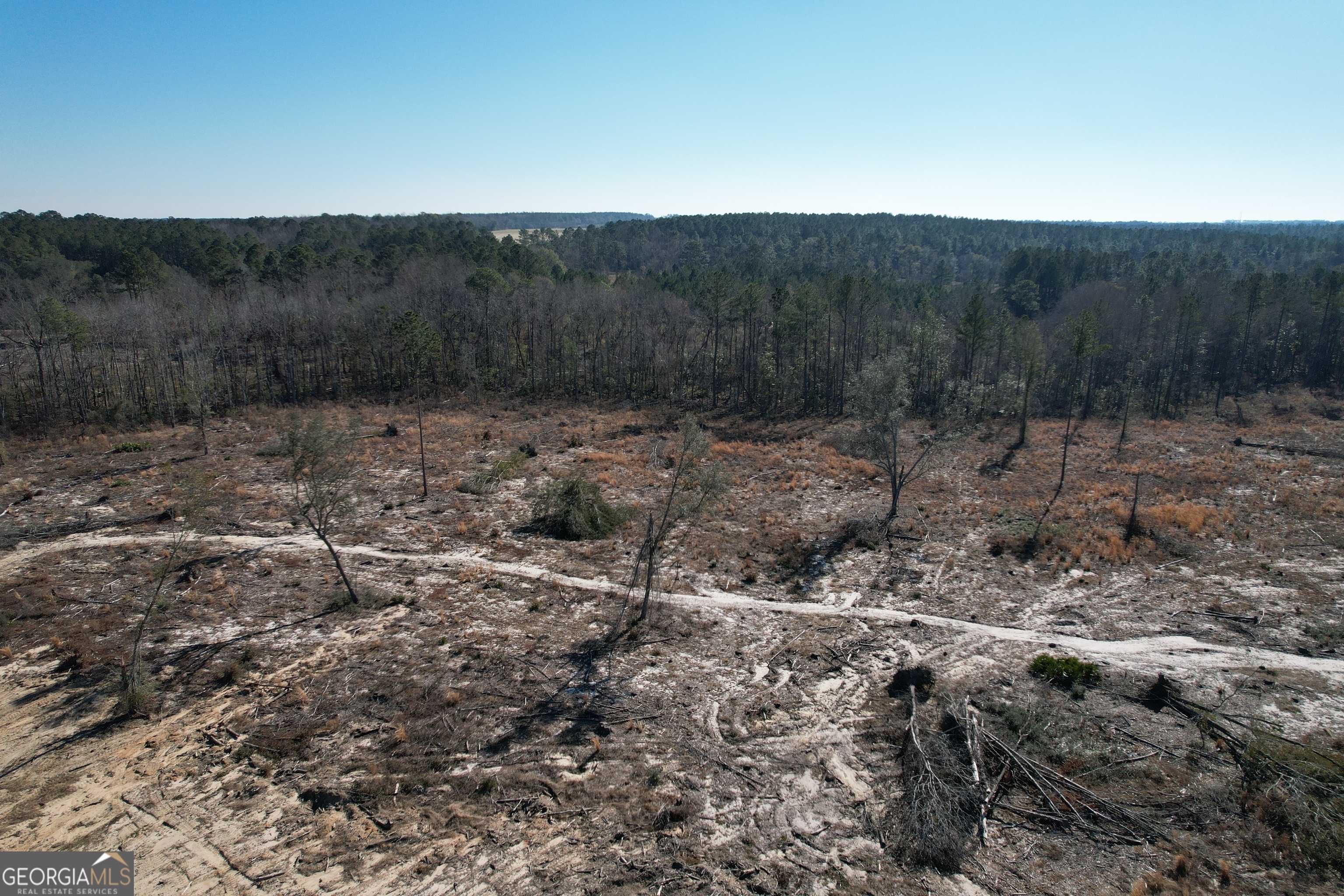 Collins, GA 30421,0 GA Hwy 292 - Tract D