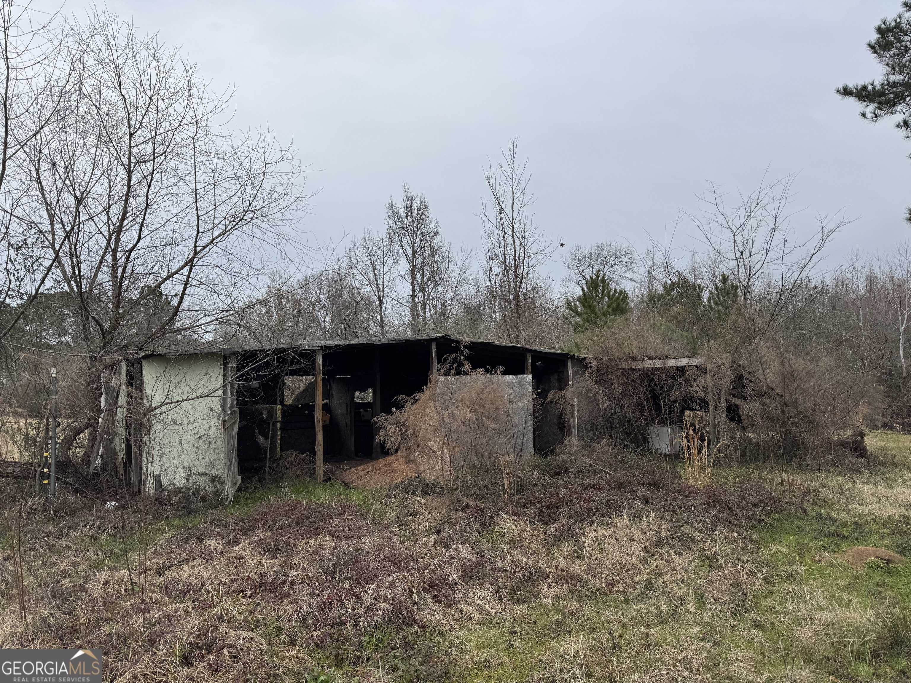 Hawkinsville, GA 31036,206 Gooseneck LN