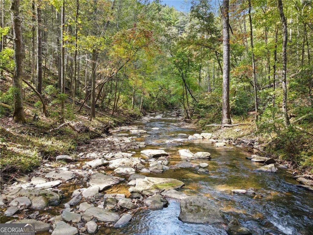 Talking Rock, GA 30175,L122 Trout Line