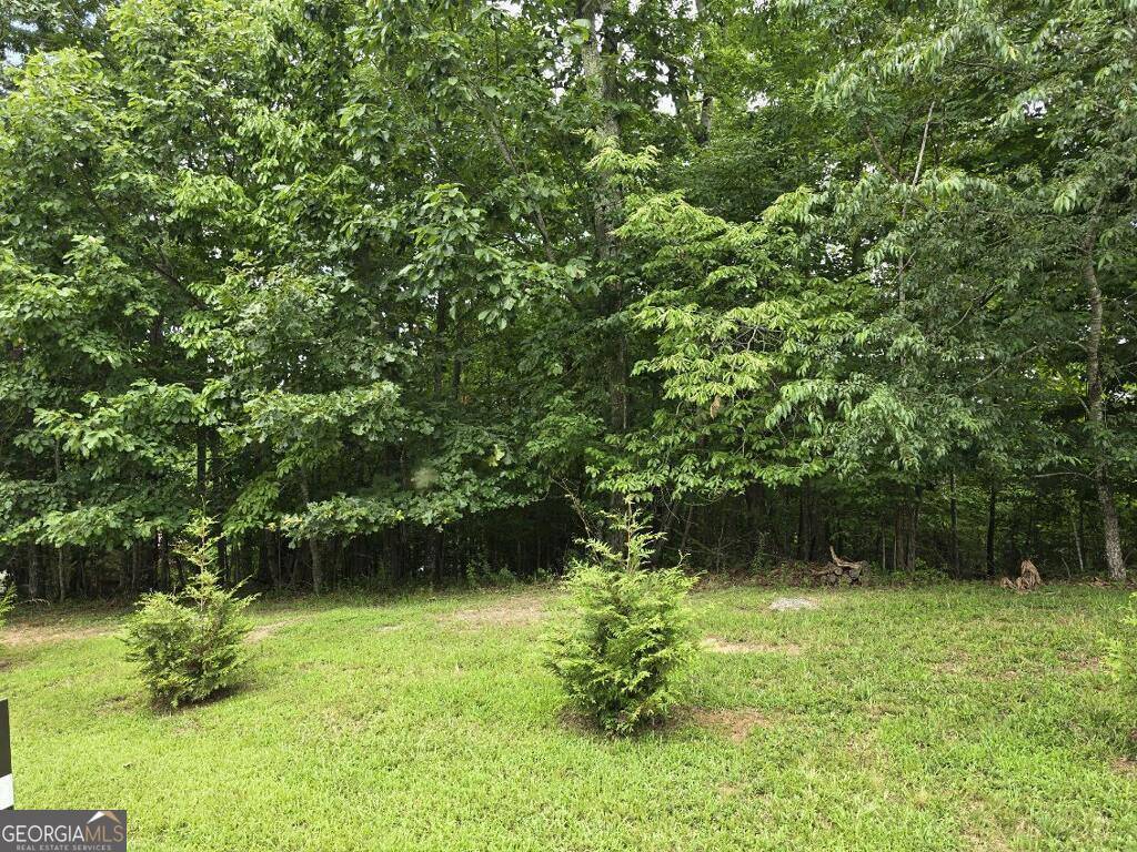 Blairsville, GA 30512,LOT 149 The Mountain