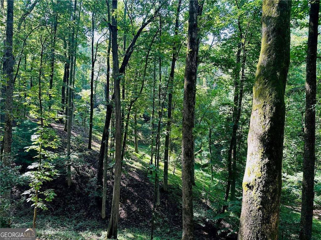 Dahlonega, GA 30533,7.123 Acres Halls Mill RD
