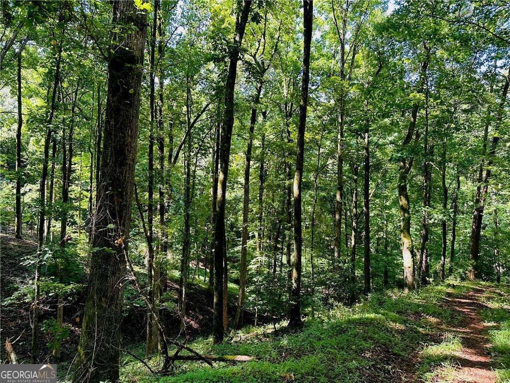 Dahlonega, GA 30533,7.123 Acres Halls Mill RD