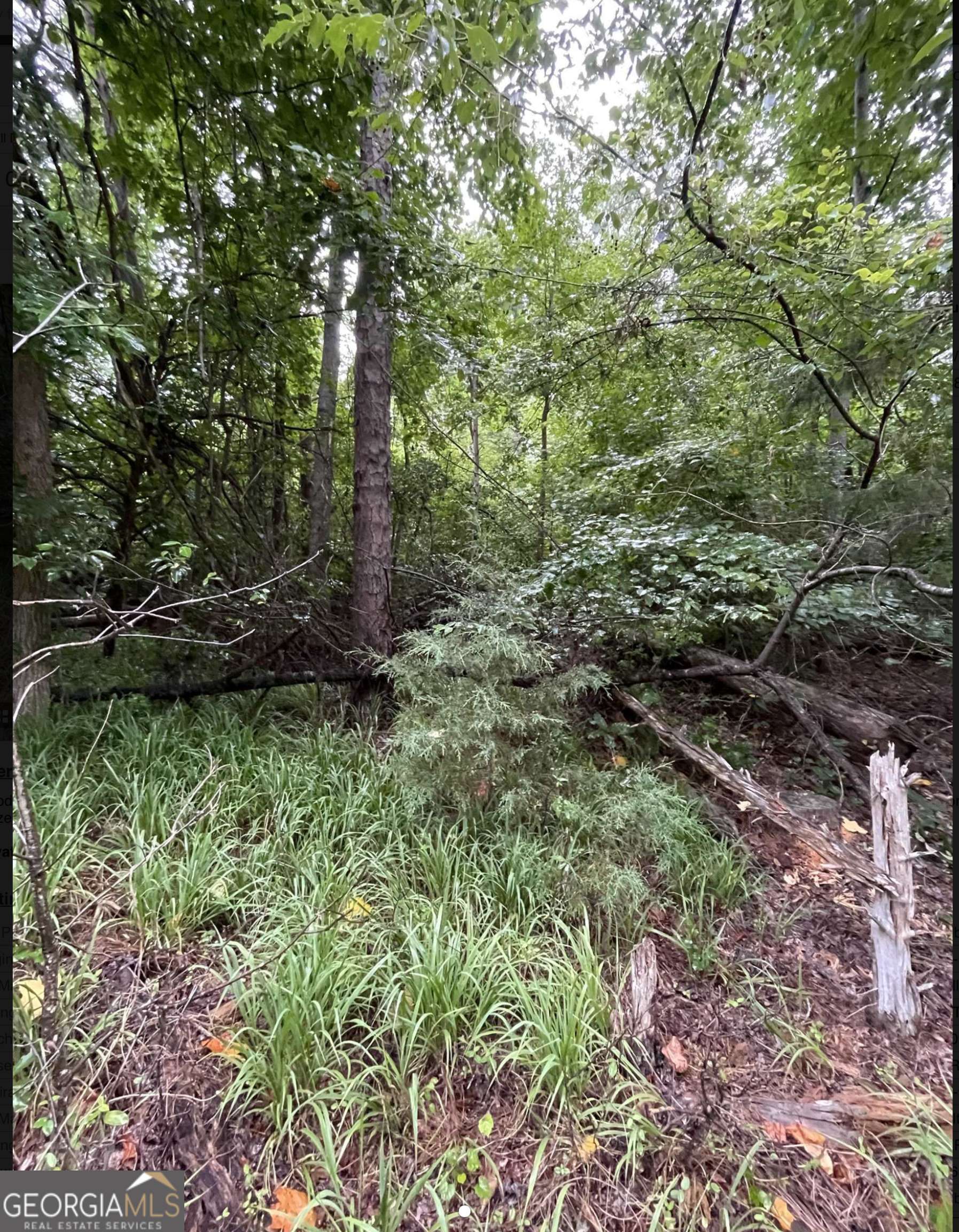 Lavonia, GA 30553,LOT 51 Alpine WAY