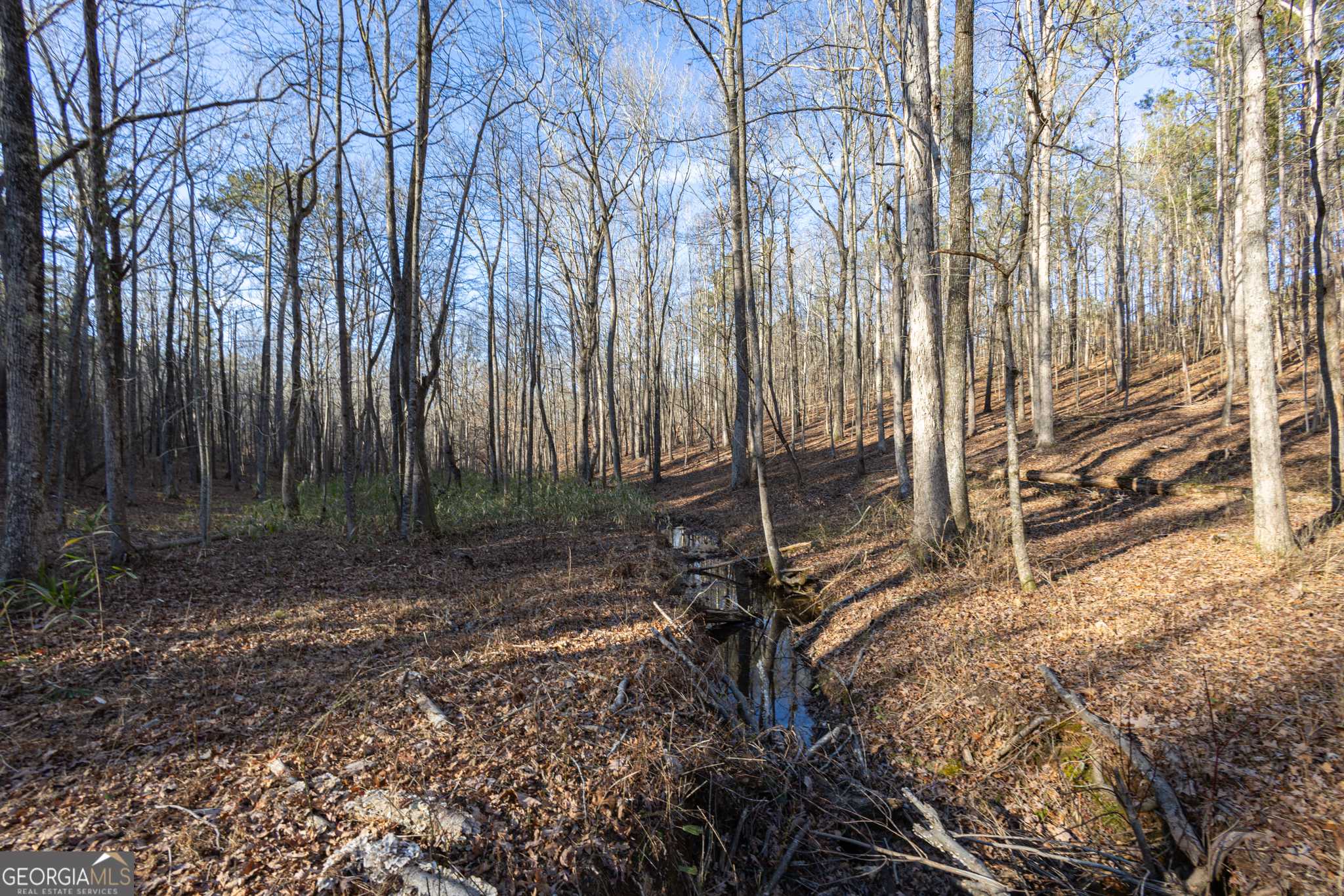 Bowdon, GA 30108,621 Rance Foster RD