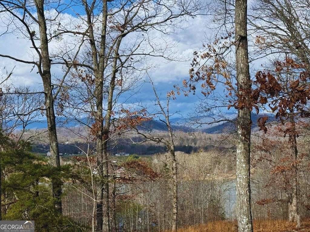 Hayesville, NC 28904,LOT 8 Drake