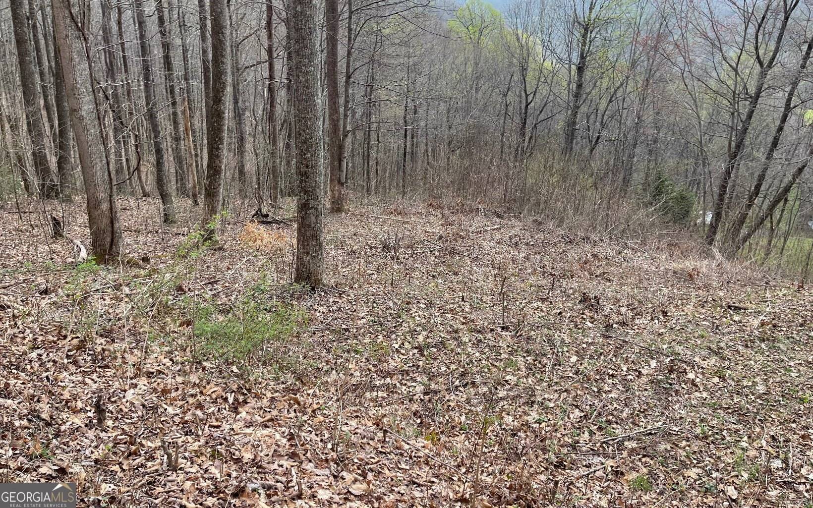 Hayesville, NC 28904,LOT 30 High Meadows