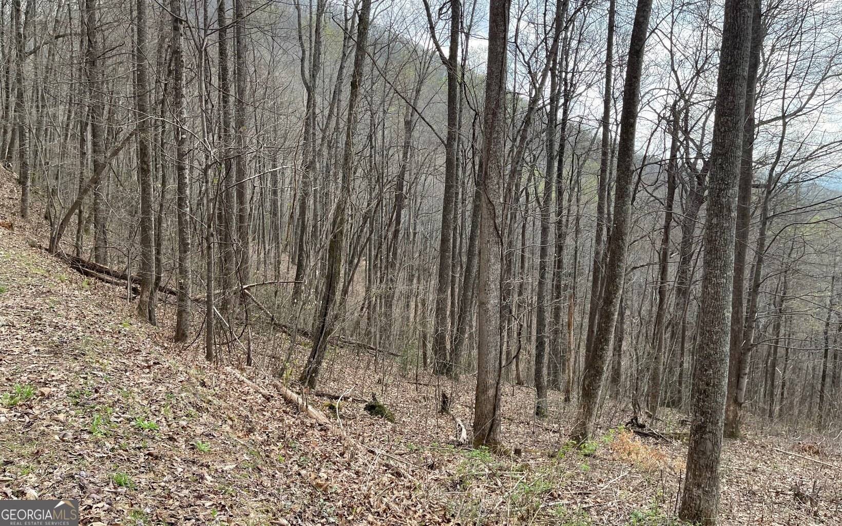 Hayesville, NC 28904,LOT 30 High Meadows