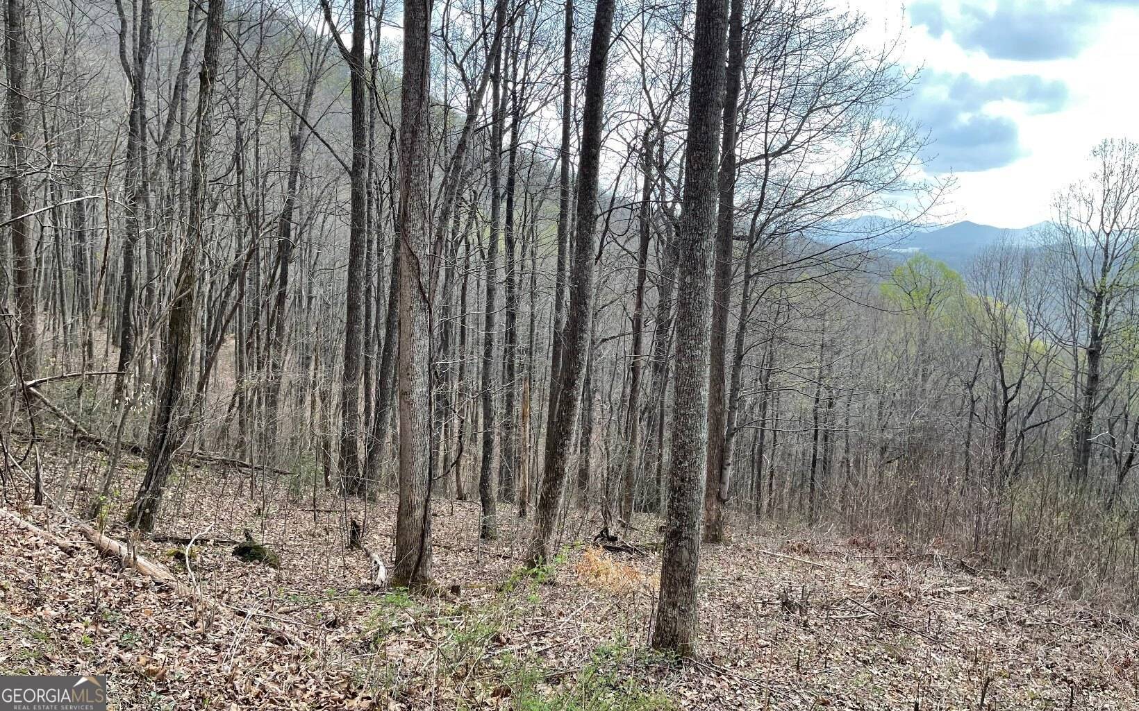 Hayesville, NC 28904,LOT 30 High Meadows