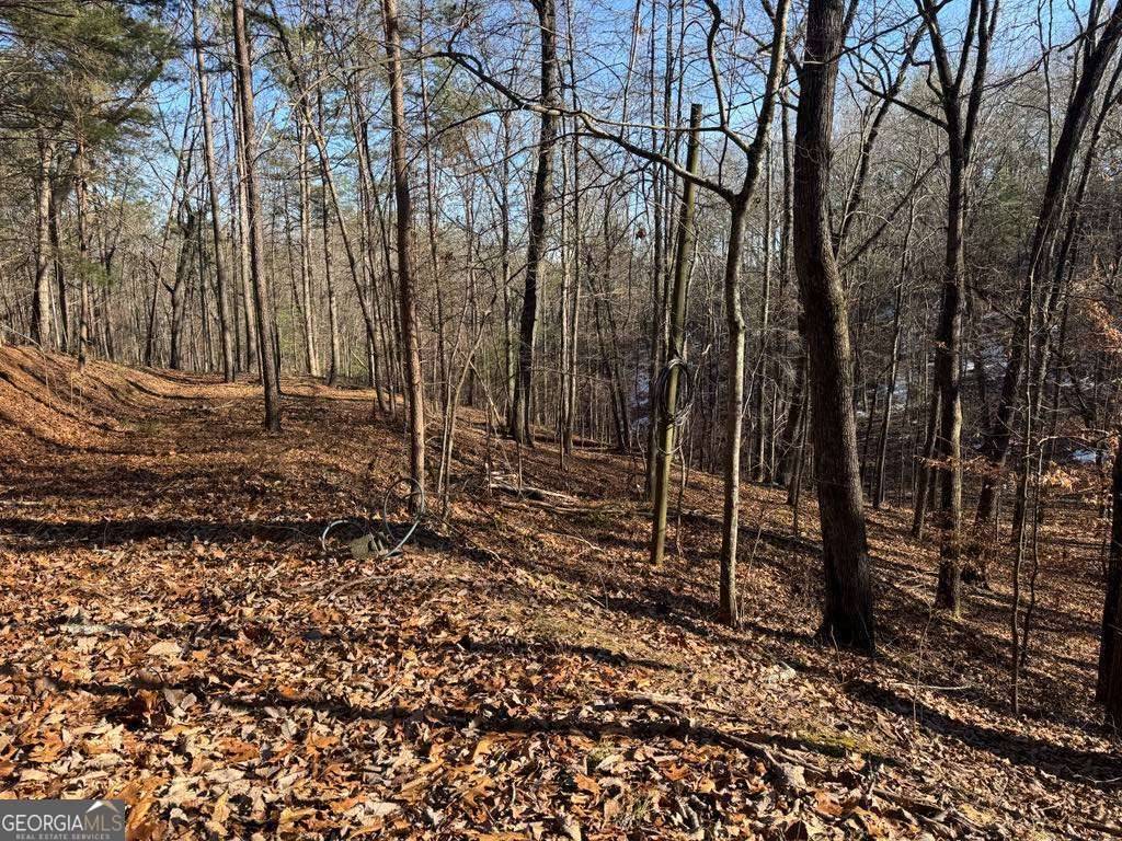 Ranger, GA 30734,543 Parable CT