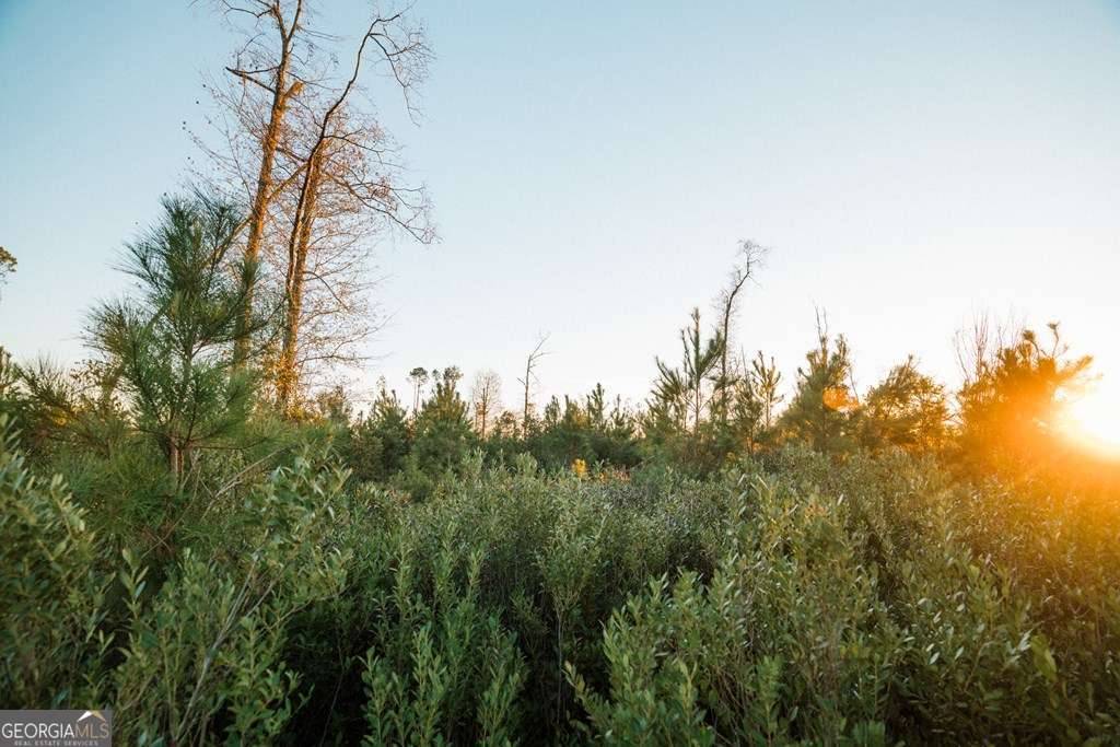 Alma, GA 31510,0 Chesapeake Rd (Lot 5)