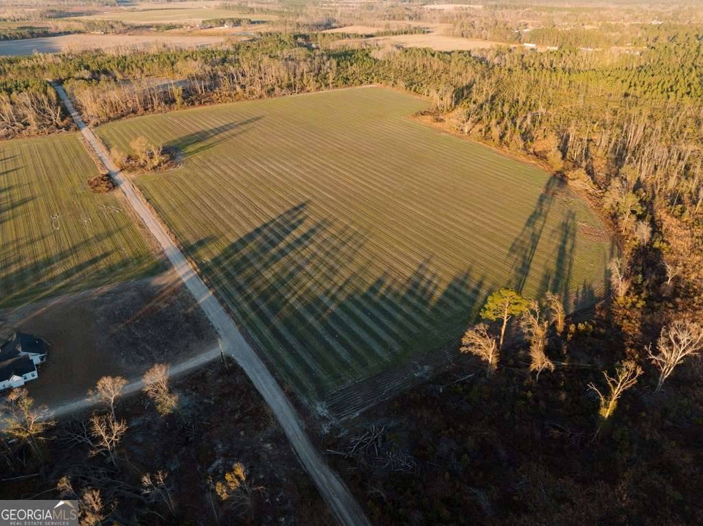 Alma, GA 31510,0 Chesapeake Rd (Lot 3)