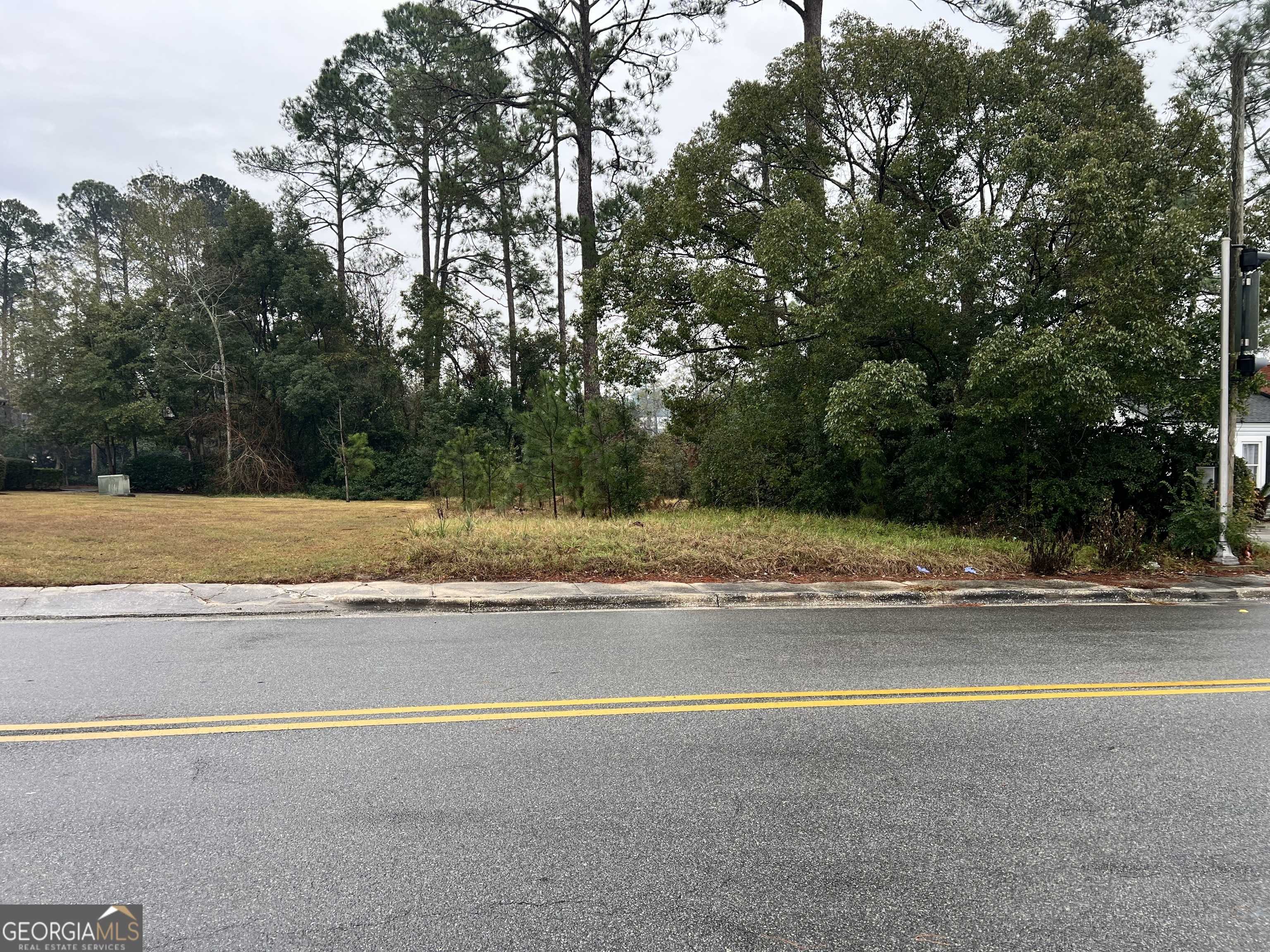 Waycross, GA 31501,.22 ACRES Alice ST