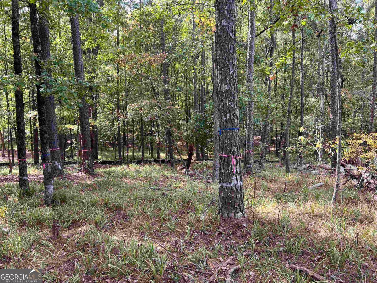 Greensboro, GA 30642,1041 Yazoo Fishery