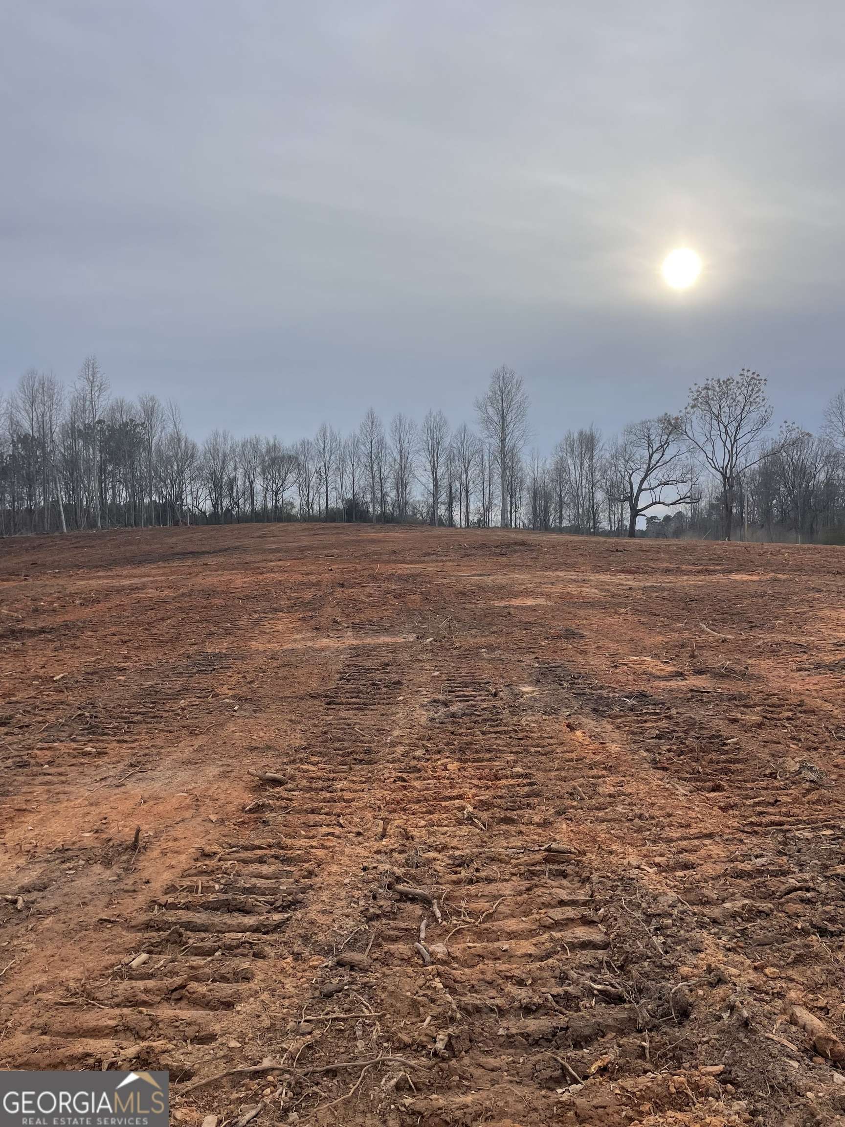 Lineville, AL 36266,15+/- ACRES Peace of mind drive N