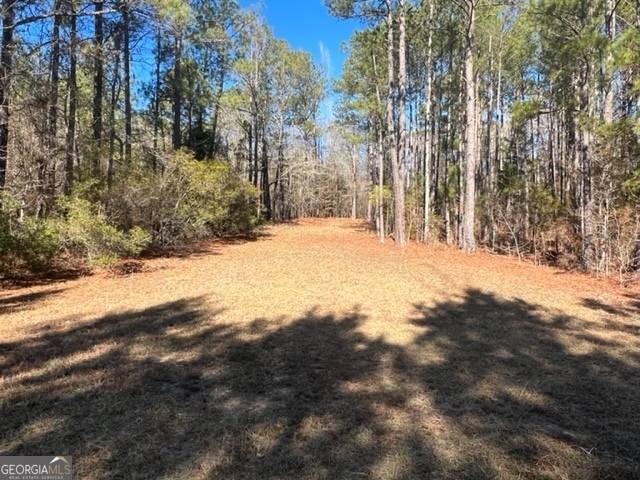 Junction City, GA 31812,477 Cosby RD
