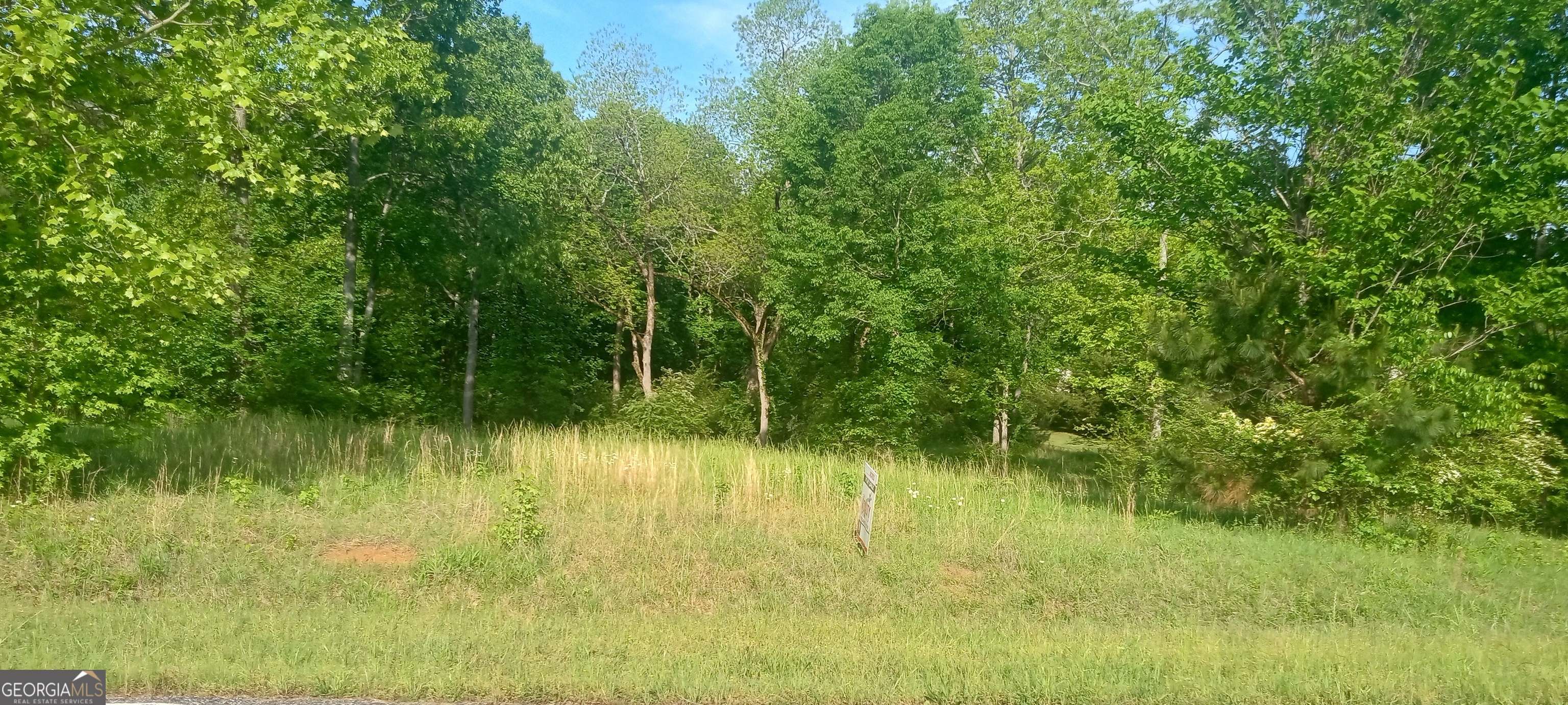 Franklin, GA 30217,0 Town Creek RD