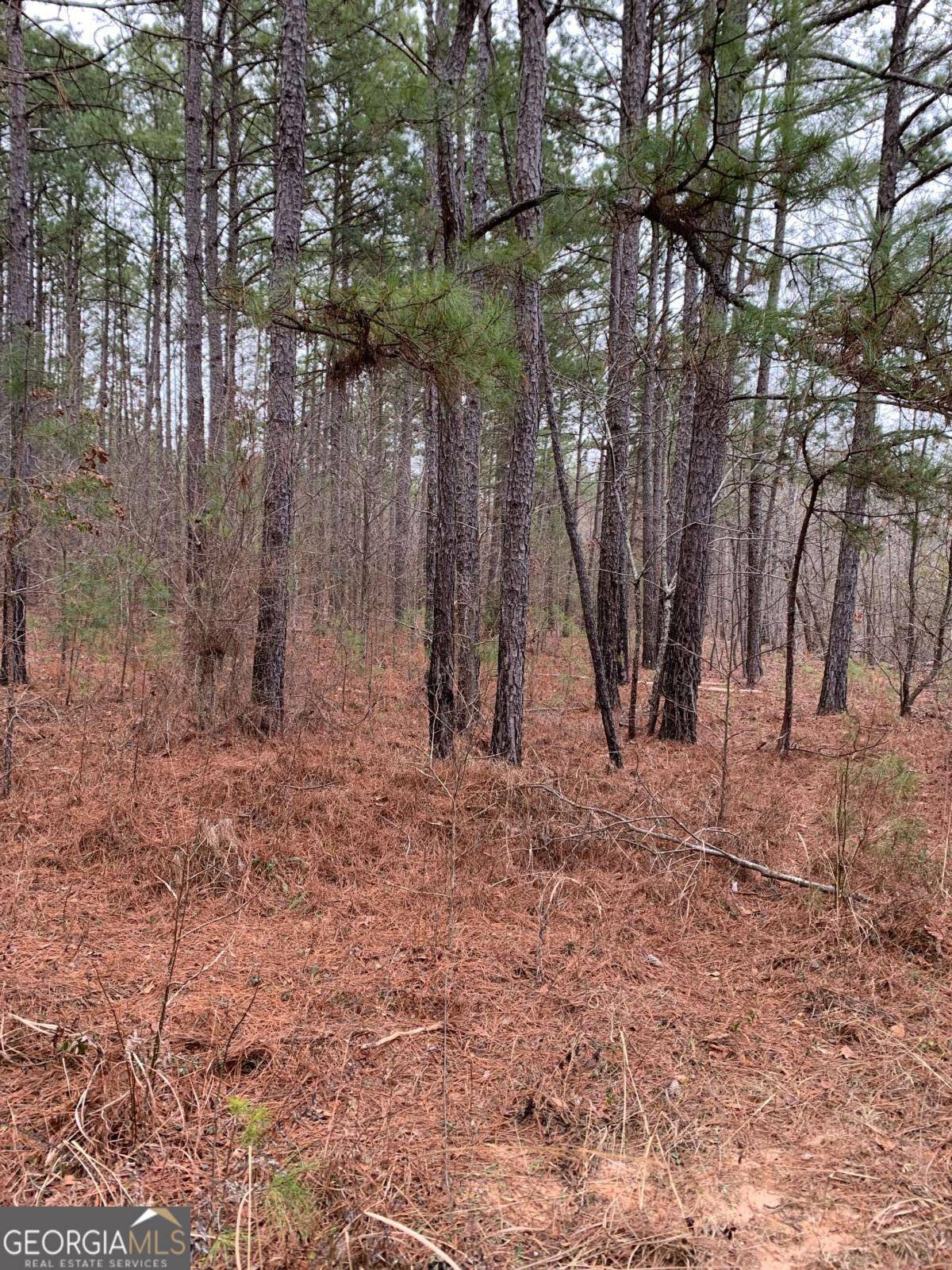 Woodland, AL 36280,0 County Road 249
