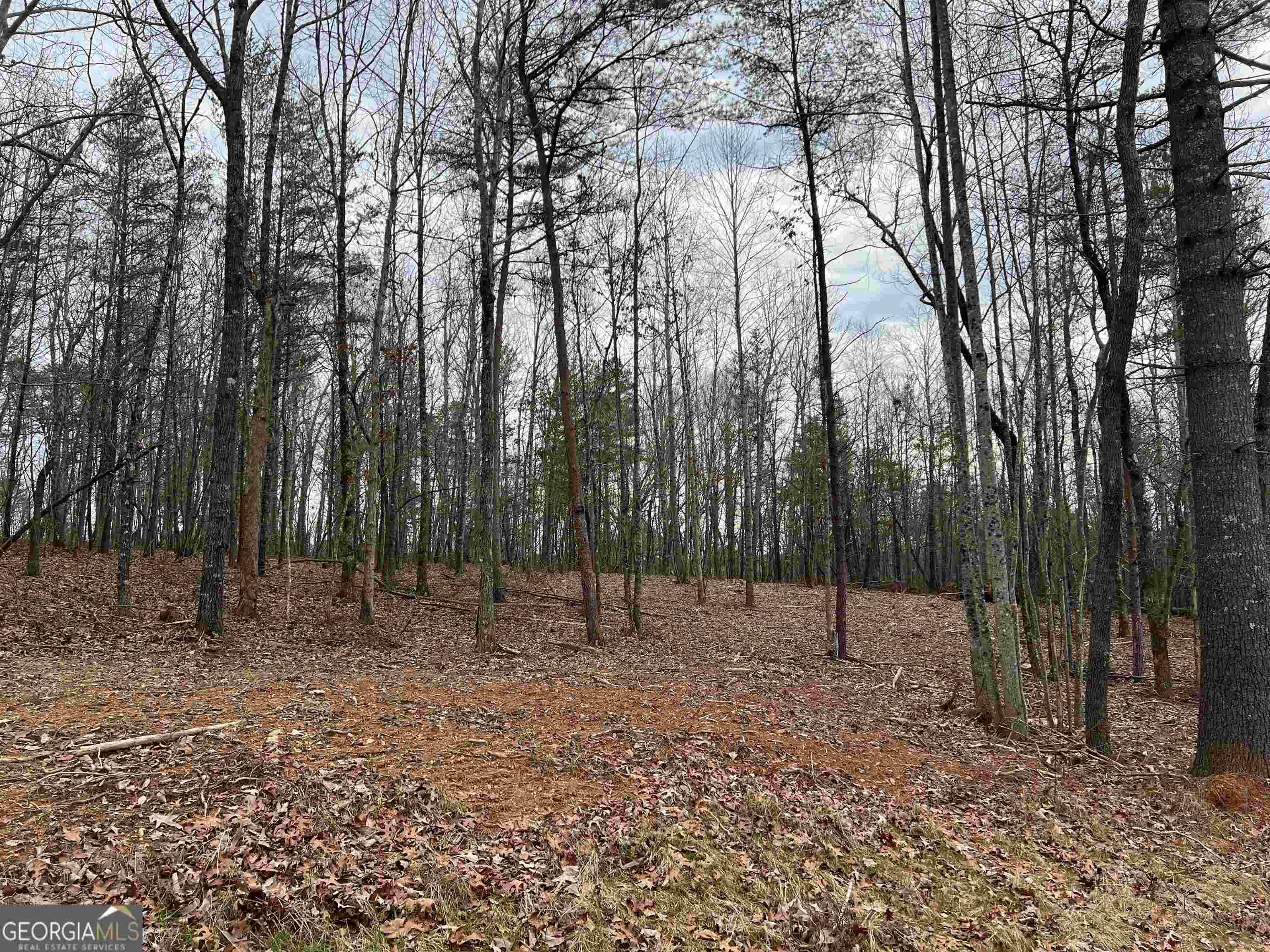 Clarkesville, GA 30523,LOT 108 Sautee Trace