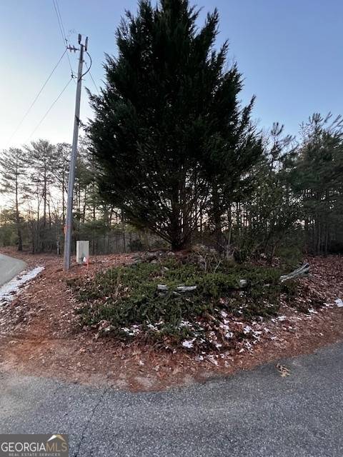 Morganton, GA 30560,LOT 4 Cook Henry Road