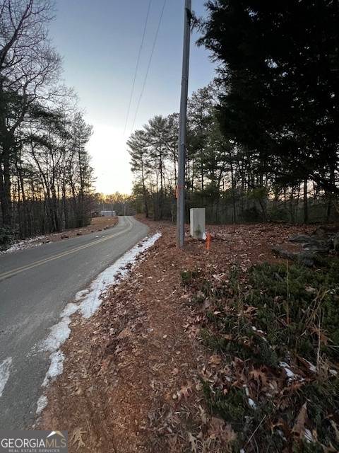 Morganton, GA 30560,LOT 4 Cook Henry Road
